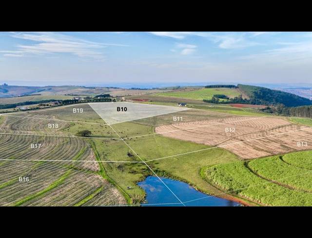 LAND FOR SALE IN MOUNT VERDE